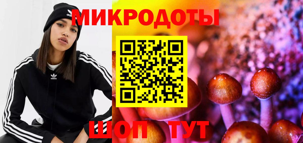 Звенигород  Галлюциногенные грибы Cubensis  Вход с VPN 