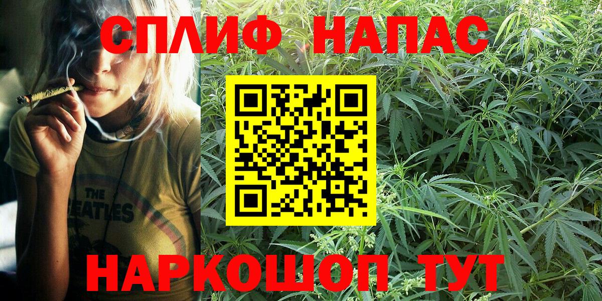 Бошки Шишки MAZAR Звенигород